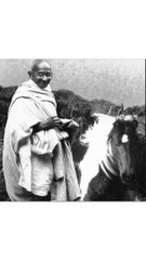 Curiosidades sobre Gandhi 🕊️