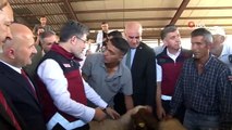 Tarım ve Orman Bakanı İbrahim Yumaklı, depremde hayvanlarını kaybeden depremzedelere küçükbaş hayvan dağıttı