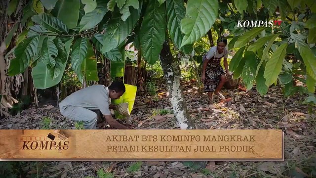 Proyek BTS Kominfo Mangkrak, Mimpi Petani Pun Layu Sebelum Berkembang | BERKAS KOMPAS