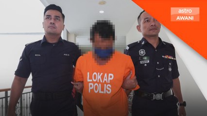 Bapa durjana dipenjara 702 tahun, 234 sebatan