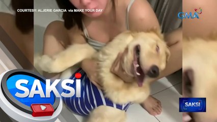 Acting skills ng isang aso, pinusuan ng netizens | Saksi