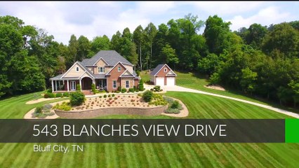 543 Blanches View Drive, Bluff City, TN 37618