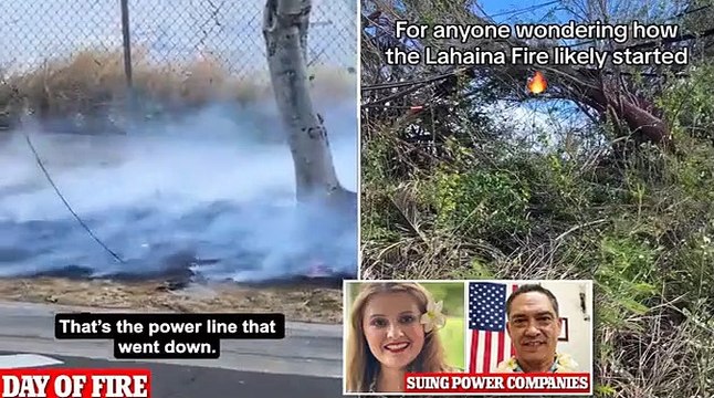 Did downed power lines start the Maui fire? New videos shows flames at base of pylons as locals say unkempt brush acted like tinderbox and couple sues electricity company for not turning off supply at first sign of danger