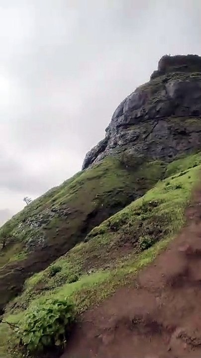 VID-20230708-WA0024