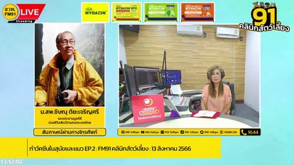 ทำวัคซีนในสุนัขและแมว EP.2 : FM91 คลินิกสัตว์เลี้ยง : 13 สิงหาคม 2566