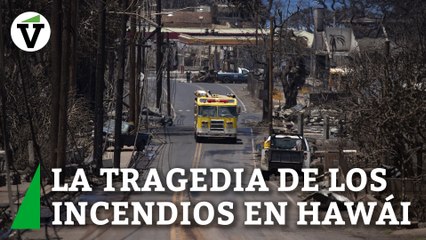 Ya son 96 los muertos en Maui y la prioridad es buscar a los cientos de desaparecidos