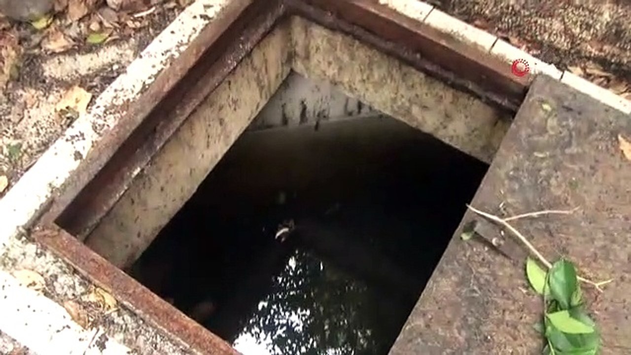 Un suspect de vol a sauté dans un puits d'eau à Beyoğlu