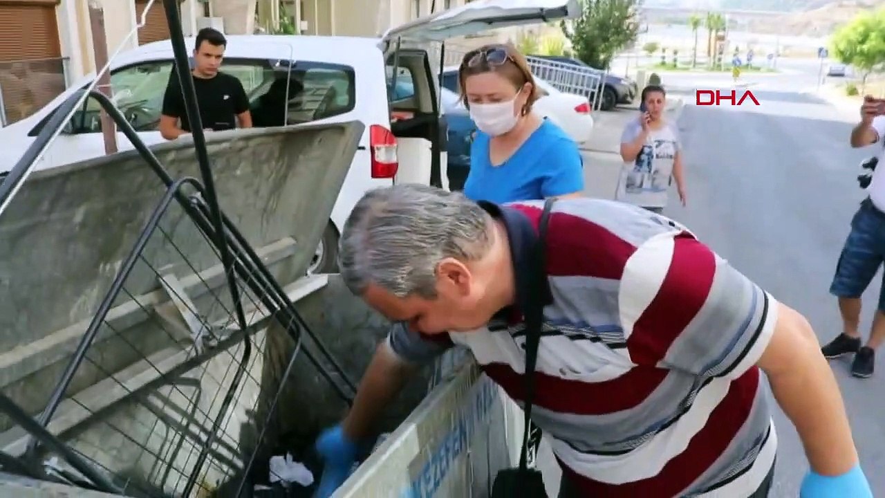 Chats errants tués à Denizli, révolte des amoureux des animaux