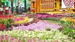 ಕೆಂಗಲ್‌ ಹನುಮಂತಯ್ಯ ಅವರ 14 ಅಡಿಯ ಪ್ರತಿಮೆ ಈ ಬಾರಿ ವಿಶೇಷ | Lal Bagh Flower Show