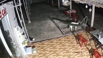 Le chien se détend pendant que les poulets sont chassés