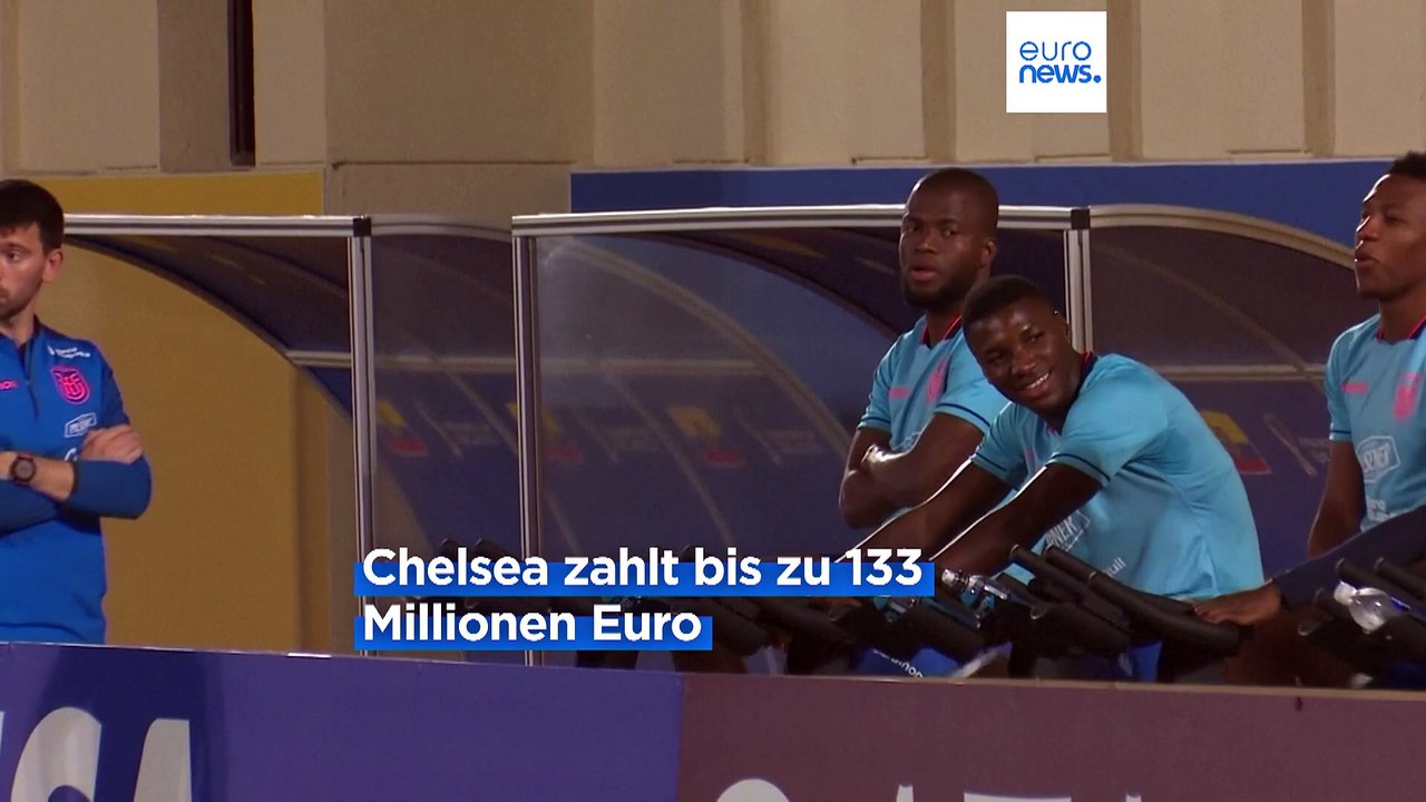 Schwindelerregende Ablöse: FC Chelsea holt Moises Caicedo für bis zu 133 Millionen Euro
