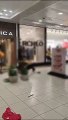VÍDEO: Suspeitas de furto causam confusão e agridem segurança de shopping em Salvador