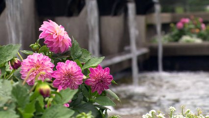 ED 14 aout TOPO tourisme