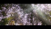 MINECRAFT The Movie – First Trailer (2025) Live Action Jason Momoa   Warner Bros