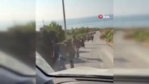 Les migrants en situation irrégulière qui ont coulé des canots pneumatiques à Izmir ont été secourus
