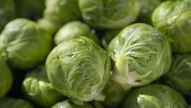 10 Tips for Harvesting Brussels Sprouts at Their Peak