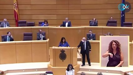 El día que una desconocida Pepa Millán dejó retratado a Sánchez en el Senado:  "Su Gobierno y usted son el problema"