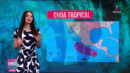 Captan cocodrilos en zona hotelera de Mazatlán