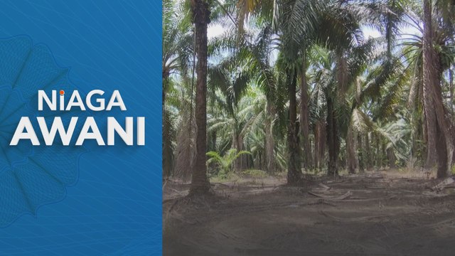 Niaga Hadapan MSM diniagakan dengan kecenderungan meningkat minggu ini