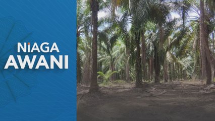 Niaga Hadapan MSM diniagakan dengan kecenderungan meningkat minggu ini
