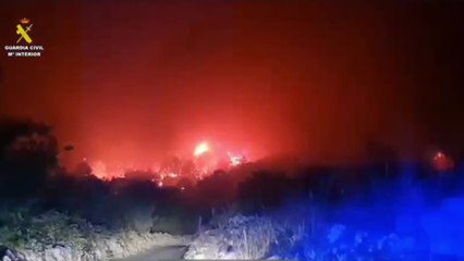 El fuego en Tenerife ha quemado ya más de 11.600 hectáreas y los vecinos evacuados superan los 12.000