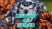 Spiders Through the Ages: A Tale of Adaptation and Survival️️