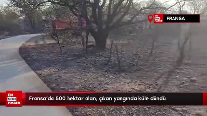 Fransa'da 500 hektar alan, çıkan yangında küle döndü