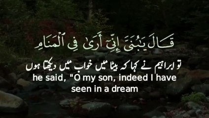 Surah As Saffat Ayah 102-107 _ Quran Whatsapp Status _ islamic whatsapp status