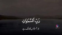 Surah As Sajda _ 34-35_ Quran Urdu Translation Whatsapp status Quran pak with ur
