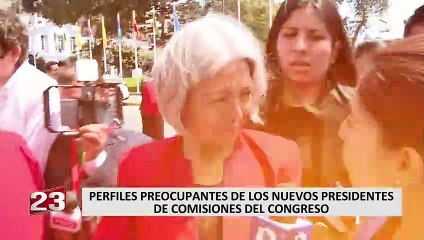 Congreso: perfiles preocupantes de los nuevos presidentes de las comisiones ordinarias