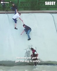 Brave Men Create Human Chain To Save A Dog