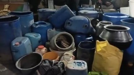 ग्वालियर: अवैध शराब के खिलाफ पुलिस की बड़ी कार्रवाई,जमीन खोदकर निकाला जखीरा