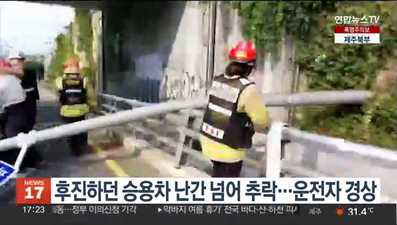 후진하던 승용차 난간 넘어 추락…운전자 경상