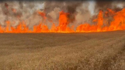 Sivas’ta yanan tarlalarda zarar 10 milyon lira