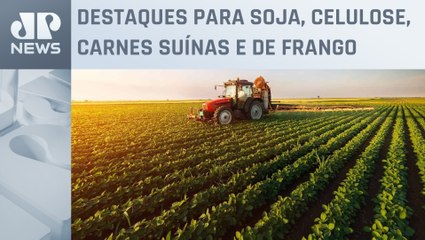 Agro impulsiona a economia e alavanca as exportações