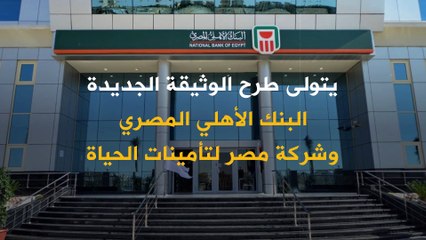 لأول مرة في مصر.. إطلاق وثيقة معاش بالدولار للمصريين بالخارج!