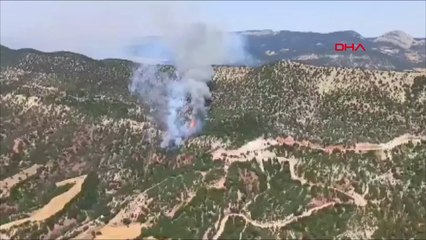 Bolu'da orman yangını