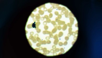 It Be an Evil Moon - A Werewolf Road Movie - Trailer