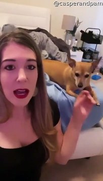 Chien aime chanter en duo avec maman
