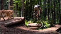 Trail dog loves to chase the owner on his bike rides *Incredible Video*