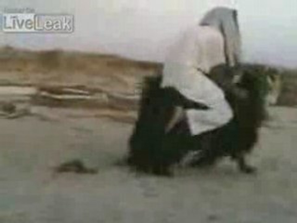 Iraqy_bike