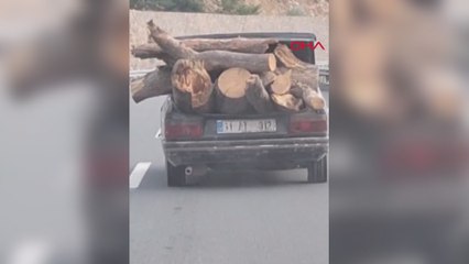 Otomobille tehlikeli odun taşıma