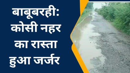 मधुबनी: कोसी नहर जाने वाली सड़क बद से बदतर, बाइक सवार गिरकर हो रहे घायल
