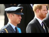 William ne prend que 36 heures pour éclipser Harry « banal et boiteux »