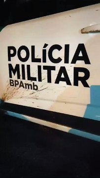 Polícia Ambiental apreende drogas, munições e recupera caminhonete roubada em Ivaté