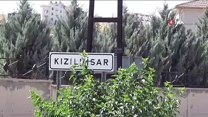 Atrocités à Gaziantep... Le corps d'un bébé retrouvé démembré par des chiens