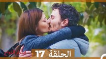 اسرار الزواج الحلقة 17 (Arabic Dubbed)