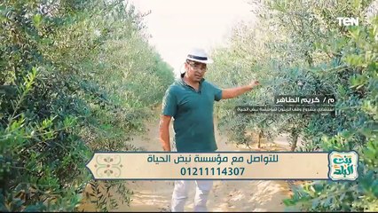 أفضل وأسرع طرق للتخسيس .. وأبرز جهود مؤسسة نبض الحياة | بنت البلد