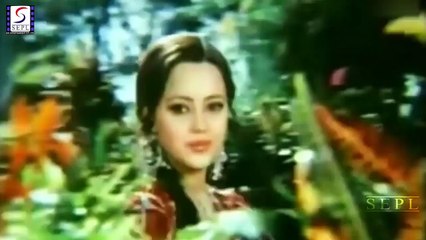 Hum Main Hai Kya Ke /  Nawab Sahib 1978/  Mohammad  Rafi