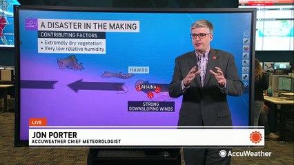 Economic impact of deadly wildfires in Hawaii